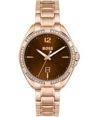 Женские часы Hugo Boss Felina Stainless Steel Brown цена и информация | Женские часы | pigu.lt