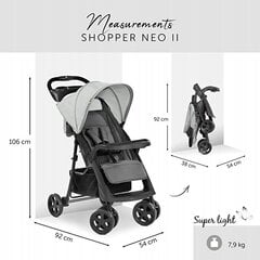 Прогулочная коляска Hauck Neo II Shopper, Серый цена и информация | Тележка | pigu.lt
