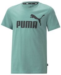 Puma Футболки Ess+ 2 Col Logo Tee Green 586985 75 586985 75/176 цена и информация | Рубашки для мальчиков | pigu.lt