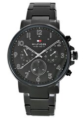 Zegarek Męski Tommy Hilfiger TM1710383 цена и информация | Мужские часы | pigu.lt
