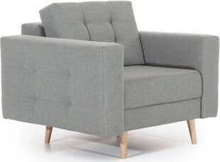 Кресло  Asgard 1F, серый цвет цена и информация | Кресла в гостиную | pigu.lt