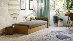 Односпальная кровать Parys, правая сторона, коричневый цвет цена и информация | Кровати | pigu.lt