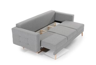 Комплект мягкой мебели из 2-х частей  Asgard 3+1, фиолетовый цвет цена и информация | Комплекты мягкой мебели | pigu.lt