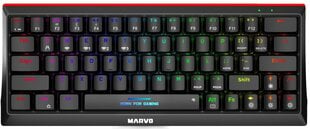 Marvo KG980B TKL 60% беспроводной механическая клавиатура с подсветкой RGB (US, Blue switch) цена и информация | Клавиатуры | pigu.lt