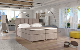 Кровать  Basilio, 160х200 см, бежевый цвет цена и информация | Кровати | pigu.lt