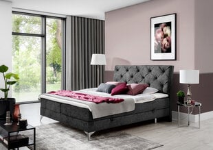 Кровать Eltap Adel, 180x200 см, серый цвет цена и информация | Кровати | pigu.lt