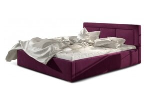 Кровать Belluno, 160x200 см, фиолетовый цвет цена и информация | Кровати | pigu.lt