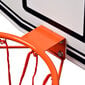 Krepšinio lenta su lanku Meteor Philadelphia, 45x71 cm kaina ir informacija | Krepšinio lentos | pigu.lt
