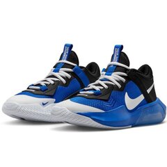 Krepšinio batai Nike Air Zoom Coossover Jr, mėlyni kaina ir informacija | Sportiniai bateliai, kedai moterims | pigu.lt