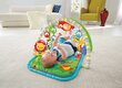 Muzikinis veiklos kilimėlis Fisher Price Atogrąžų miškų draugai, CHP85 kaina ir informacija | Lavinimo kilimėliai | pigu.lt