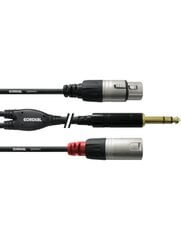 Cordial 3,5mm - 2 x XLR, 3 m kaina ir informacija | Kabeliai ir laidai | pigu.lt