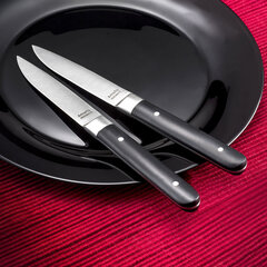 Набор ножей для мяса Amefa Fusion 22 x 1,8 x 1,2 cm Металл Двухцветный 12 штук цена и информация | Ножи и аксессуары для них | pigu.lt