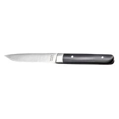 Набор ножей для мяса Amefa Fusion 22 x 1,8 x 1,2 cm Металл Двухцветный 12 штук цена и информация | Ножи и аксессуары для них | pigu.lt