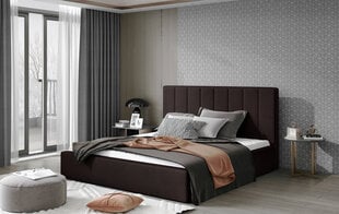 Кровать  Audrey, 160х200 см, коричневый цвет цена и информация | Кровати | pigu.lt