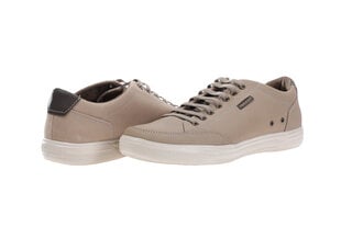 Туфли мужские Pegada, коричневые 97342_2090-46 цена и информация | Кроссовки для мужчин | pigu.lt