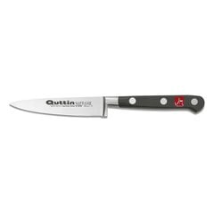 Нож для чистки Quttin Safrane 10 cm цена и информация | Ножи и аксессуары для них | pigu.lt