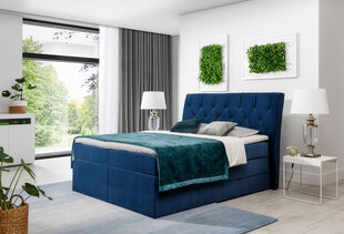Кровать Mirabel, 160х200 см, синий цена и информация | Кровати | pigu.lt