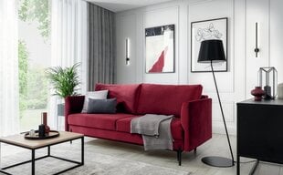 Sofa Revi, violetinė kaina ir informacija | Sofos | pigu.lt