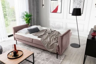 Sofa Revi, rožinė kaina ir informacija | Sofos | pigu.lt