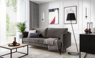 Sofa Revi, pilka kaina ir informacija | Sofos | pigu.lt