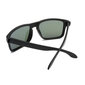 Akiniai nuo saulės Label L1532P Polarized kaina ir informacija | Akiniai nuo saulės vyrams | pigu.lt