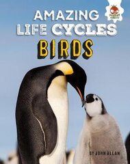 Birds - Amazing Life Cycles цена и информация | Книги для подростков и молодежи | pigu.lt