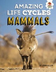 Mammals - Amazing Life Cycles цена и информация | Книги для подростков и молодежи | pigu.lt