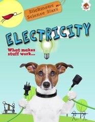 Electricity: Stickmen Science Stars цена и информация | Книги для подростков  | pigu.lt