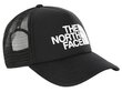 Kepurė moterims NF0A3FM3KY4 kaina ir informacija | Kepurės moterims | pigu.lt