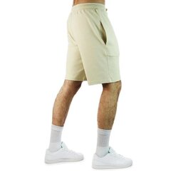 M graphic short ligt the north face for men's beige nf0a3s4f3x4 NF0A3S4F3X4 цена и информация | Мужские шорты | pigu.lt