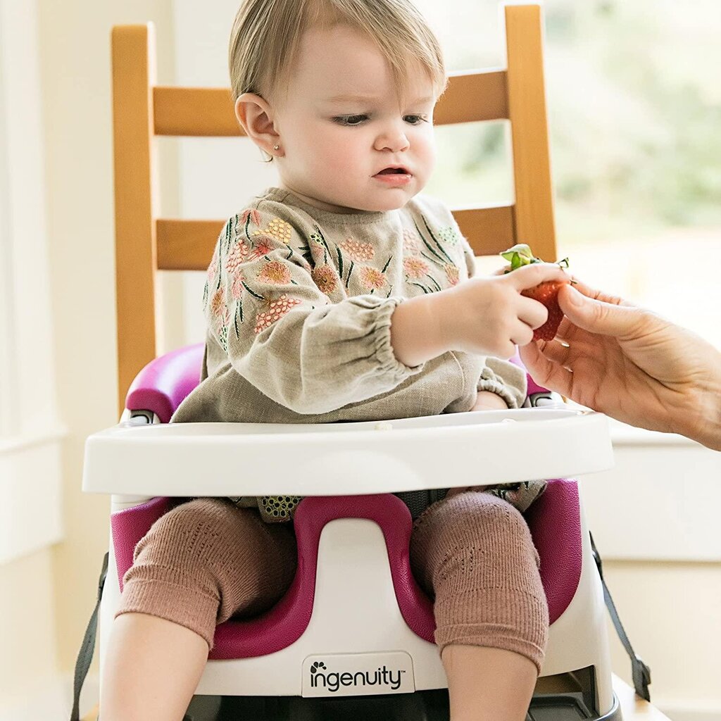 Maitinimo kėdutė 2in1 Ingenuity, rožinė kaina ir informacija | Maitinimo kėdutės | pigu.lt