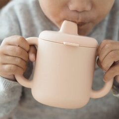 Silikoninis puodelis Beaba 2in1, rožinis kaina ir informacija | Buteliukai kūdikiams ir jų priedai | pigu.lt