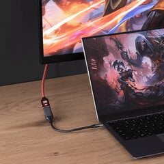 Adapteris Reagle USB-C DisplayPort USB-C цена и информация | Адаптеры, USB-разветвители | pigu.lt