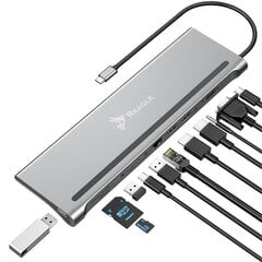 Šakotuvas Reagle Multiport 12 in 1 USB C HDMI VGA Ethernet цена и информация | Адаптеры, USB-разветвители | pigu.lt