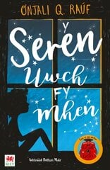 Seren Uwch fy Mhen, Y цена и информация | Книги для подростков  | pigu.lt