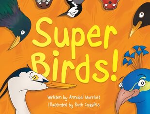 Super Birds! цена и информация | Книги для малышей | pigu.lt