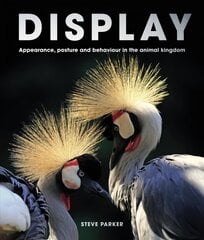 Display: Appearance, posture and behaviour in the animal kingdom kaina ir informacija | Knygos apie sveiką gyvenseną ir mitybą | pigu.lt