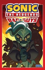 Sonic The Hedgehog: Bad Guys цена и информация | Книги для подростков и молодежи | pigu.lt