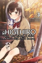 Higehiro: After Being Rejected, I Shaved and Took in a High School Runaway, Vol. 3 (light novel) цена и информация | Фантастика, фэнтези | pigu.lt
