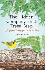 Hidden Company That Trees Keep: Life from Treetops to Root Tips kaina ir informacija | Socialinių mokslų knygos | pigu.lt