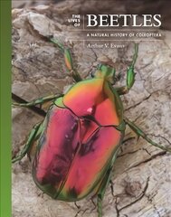 Lives of Beetles: A Natural History of Coleoptera kaina ir informacija | Ekonomikos knygos | pigu.lt