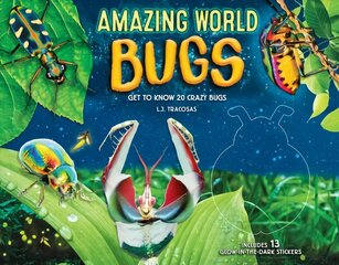 Amazing World: Bugs: Get to know 20 crazy bugs, Volume 1 kaina ir informacija | Knygos mažiesiems | pigu.lt