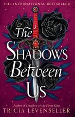 Shadows Between Us kaina ir informacija | Knygos paaugliams ir jaunimui | pigu.lt