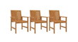 vidaXL Sodo valgomojo kėdės, 3vnt., akacijos medienos masyvas kaina ir informacija | Lauko kėdės, foteliai, pufai | pigu.lt