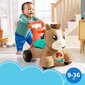 Paspiriamas arkliukas-stumdukas su rankena Fisher Price GMW20 цена и информация | Žaislai kūdikiams | pigu.lt