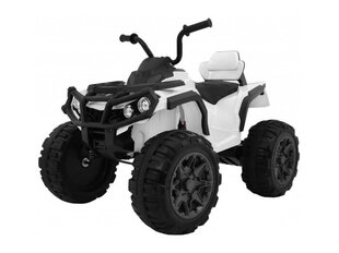 Vienvietis vaikiškas elektromobilis Rollzone Quad ATV kaina ir informacija | Elektromobiliai vaikams | pigu.lt