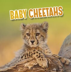 Baby Cheetahs kaina ir informacija | Knygos paaugliams ir jaunimui | pigu.lt