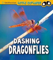 Dashing Dragonflies kaina ir informacija | Knygos paaugliams ir jaunimui | pigu.lt