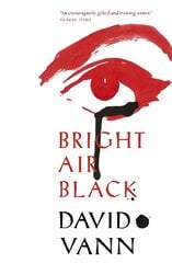 Bright Air Black kaina ir informacija | Fantastinės, mistinės knygos | pigu.lt