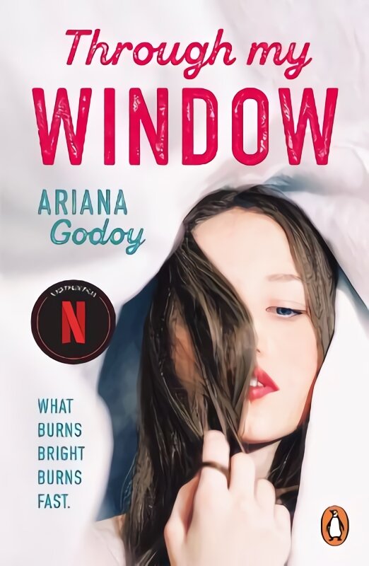 Through My Window: The million-copy bestselling Netflix sensation! цена и информация | Fantastinės, mistinės knygos | pigu.lt